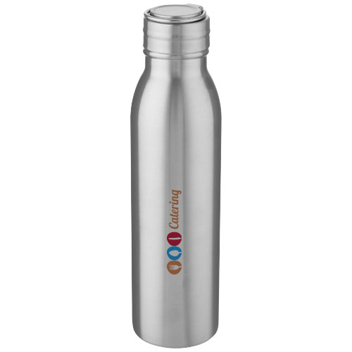 Harper 700 ml Sportflasche aus Edelstahl mit Metallschlaufe