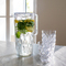 CRYSTAL S Glas 250ml