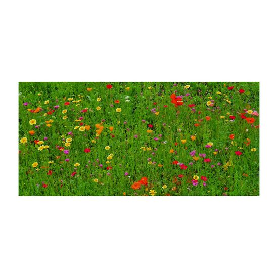 Geschenkartikel: Bienenweide im Oster-Eierkarton, 6 Samenbomen 2K1660a