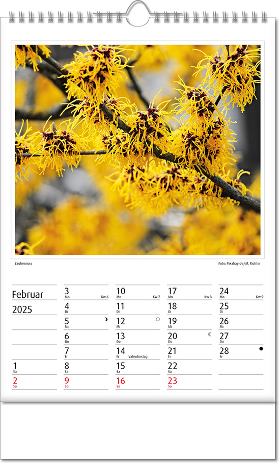 Kalender "Botanica" im Format 24 x 38,5 cm, mit Wire-O Bindung und verlängerter Rückwand