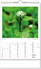 Kalender "Botanica" im Format 24 x 38,5 cm, mit Wire-O Bindung und verlängerter Rückwand