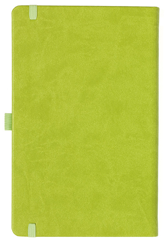 Notizbuch Style Medium im Format 13x21cm, Inhalt kariert, Einband Slinky in der Farbe Lime