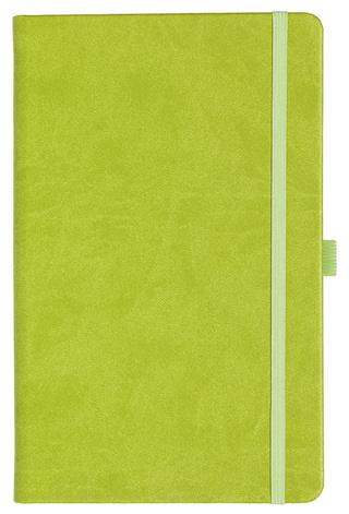 Notizbuch Style Medium im Format 13x21cm, Inhalt liniert, Einband Slinky in der Farbe Lime