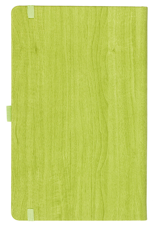 Notizbuch Style Medium im Format 13x21cm, Inhalt liniert, Einband Woody in der Farbe Lime