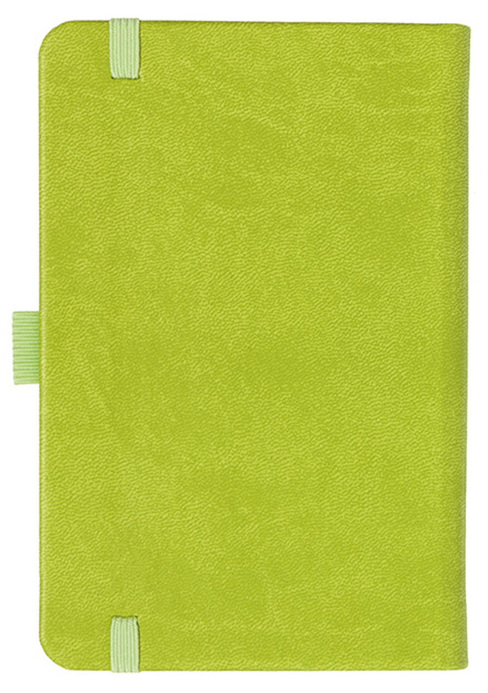 Notizbuch Style Small im Format 9x14cm, Inhalt kariert, Einband Slinky in der Farbe Lime