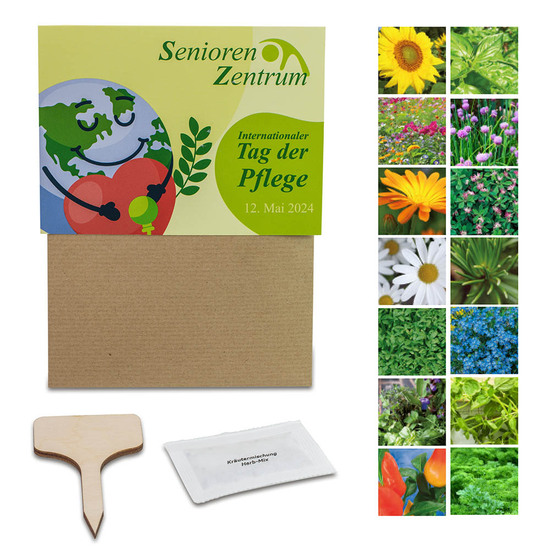 Pflanz-Set - 3er-Set - Kräutermischung / Sommerblumenmischung / Sonnenblume