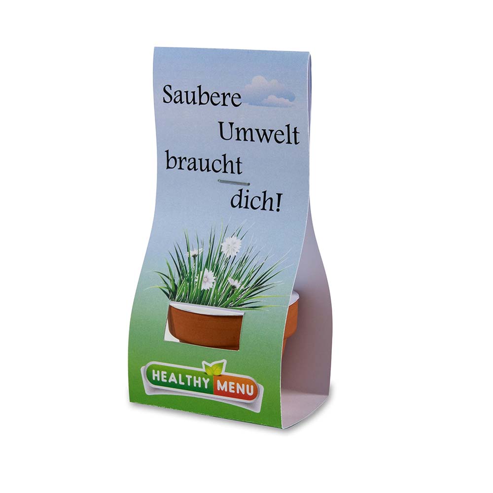 Logo-Töpfchen Überreichverpackung mit Samen - Sommerblumenmischung
