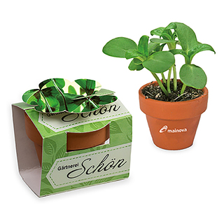 Tontöpfchen-Blume mit Samen - Glücksklee-Zwiebeln inkl. Tampondruck (* Je nach Verfügbarkeit der Glücksklee-Zwiebeln)