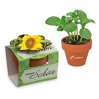 Tontöpfchen-Blume mit Samen - Sonnenblume inkl. Tampondruck