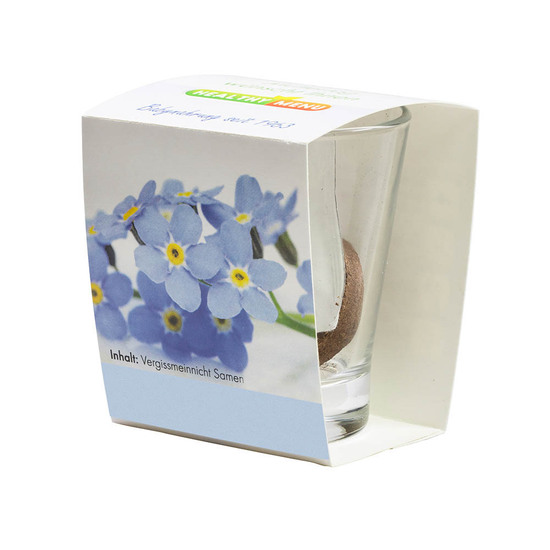 Caffeino-Glas mit Samen - Gartenkresse