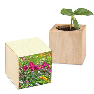 Pflanz-Holz mit Samen (Graspapier-Banderole) - Sommerblumenmischung