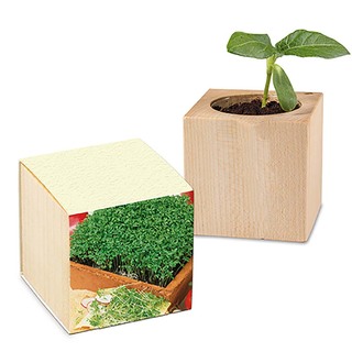 Pflanz-Holz mit Samen (Graspapier-Banderole) - Gartenkresse, 1 Seite gelasert