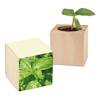 Pflanz-Holz mit Samen (Graspapier-Banderole) - Basilikum, 2 Seiten gelasert