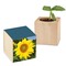 Pflanz-Holz mit Samen - Sonnenblume, 2 Seiten gelasert