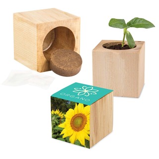 Pflanz-Holz Maxi mit Samen - Sonnenblume