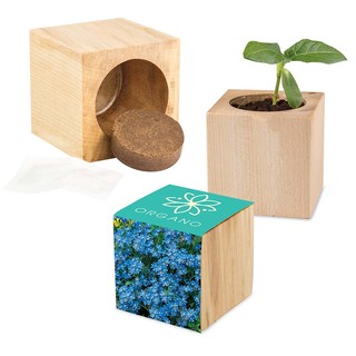 Pflanz-Holz Maxi mit Samen - Vergissmeinnicht