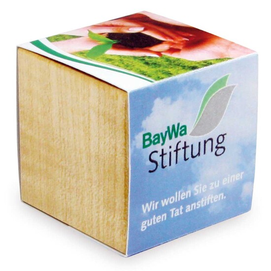 Pflanz-Holz Magnet mit Samen - Gewürzpaprika