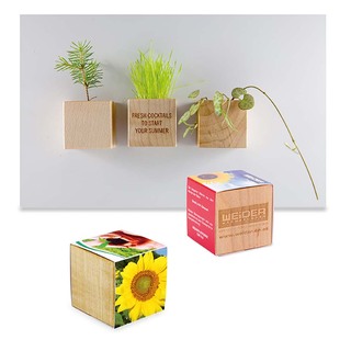 Pflanz-Holz Magnet mit Samen - Sonnenblume, 2 Seiten gelasert