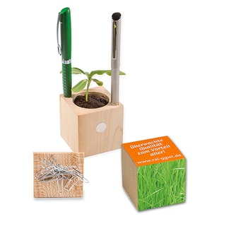 Pflanz-Holz Büro mit Samen - Gras