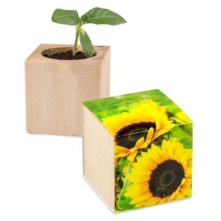 Pflanz-Holz - Standardmotiv - Sonnenblume - Sonnenblume
