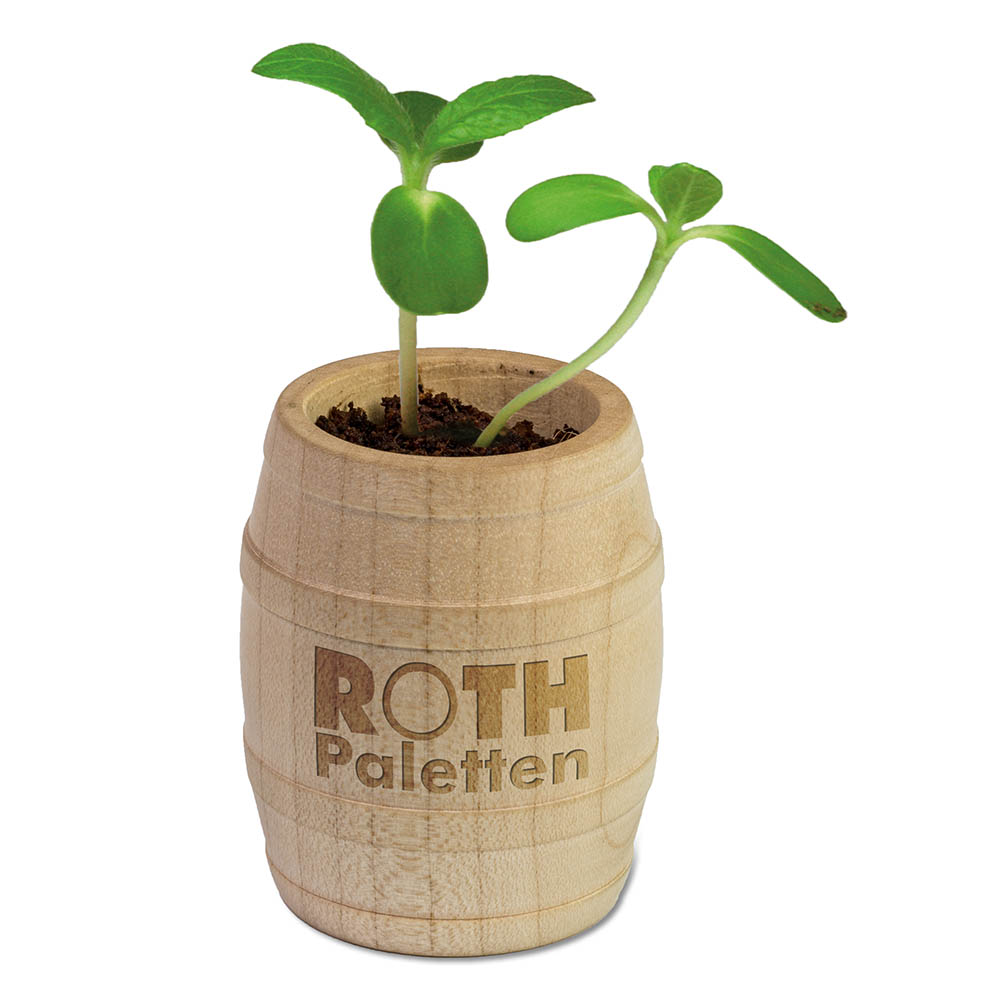 Pflanz-Fässchen mit Samen - Margerite, Lasergravur