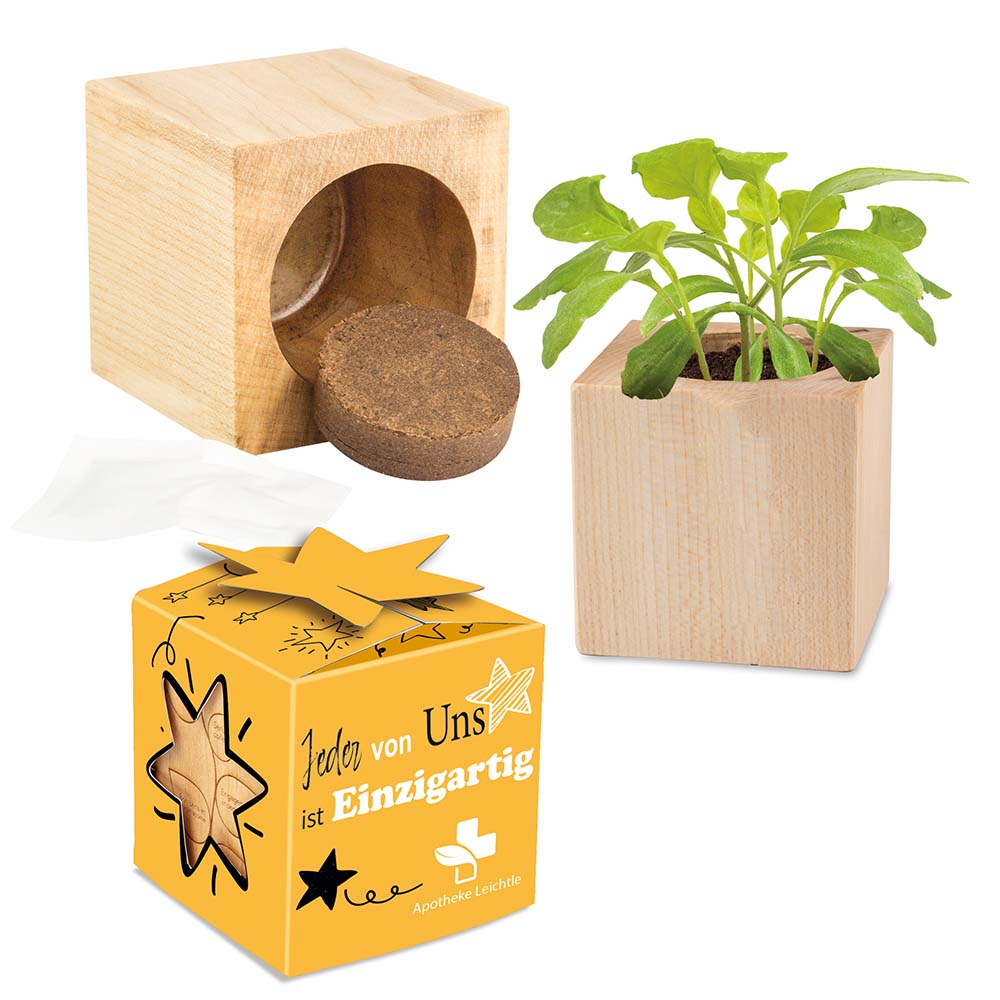 Pflanz-Holz Star-Box Ostern mit Samen - Eierbaumsamen