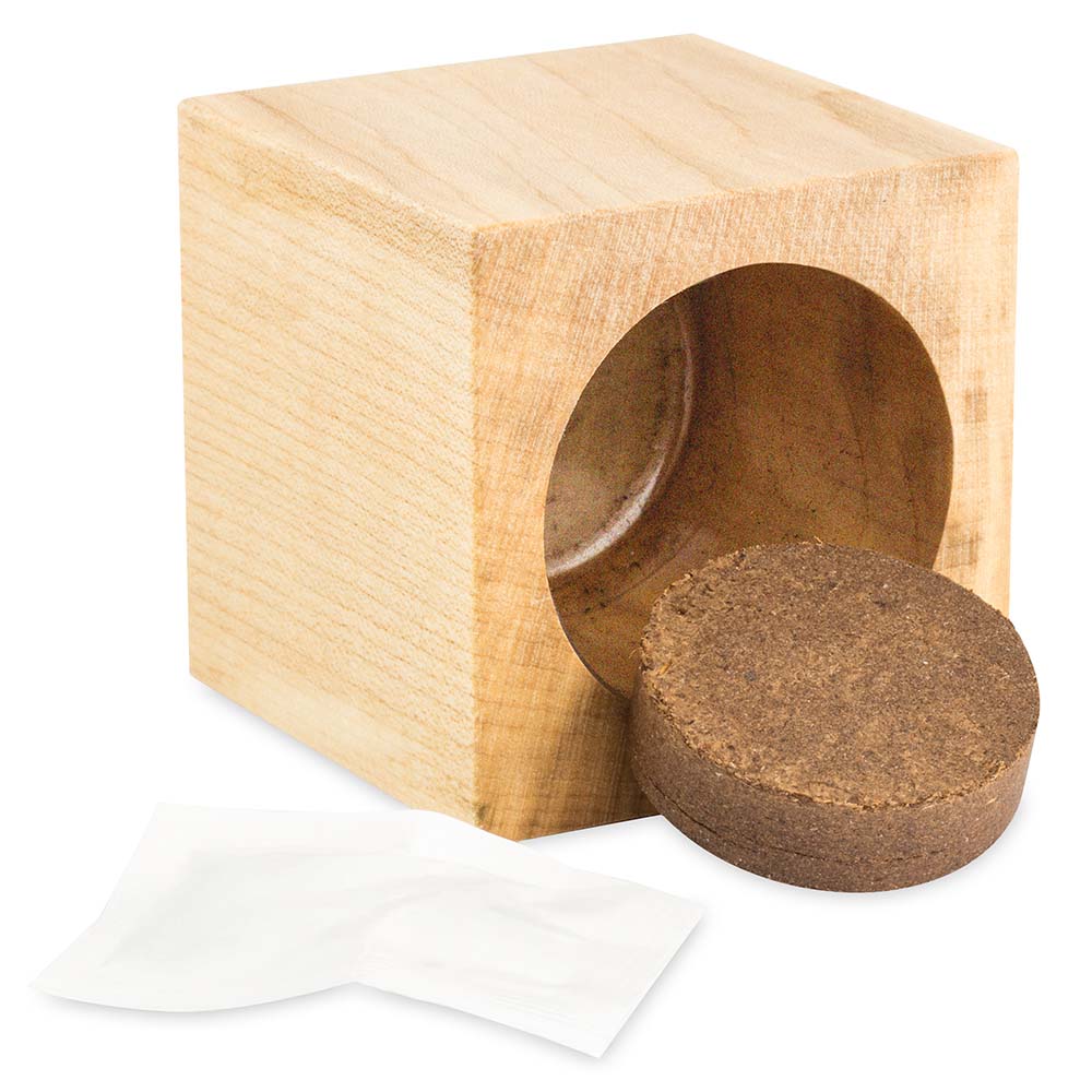Pflanz-Holz Star-Box mit Samen - Vergissmeinnicht