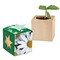 Pflanz-Holz Star-Box mit Samen - Margerite, 1 Seite gelasert