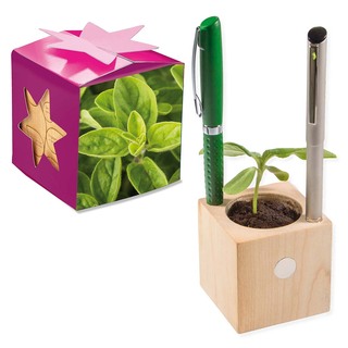 Pflanz-Holz Büro Star-Box mit Samen - Majoran, 2 Seiten gelasert