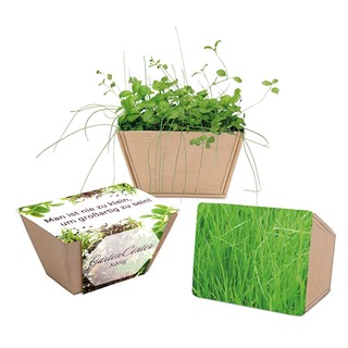 Mini-Beet mit Samen - Gras, Lasergravur