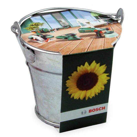 Pflanzeimerchen mit Samen - Margerite