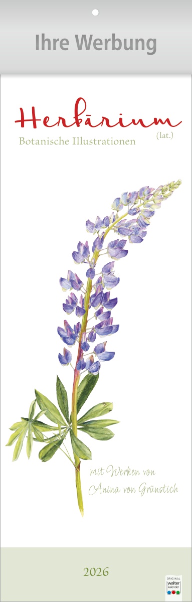 Herbarium - Botanische Illustrationen