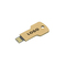 USB Stick Greencard key 2 GB
