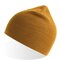 AT102 Holly Beanie