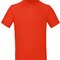 BCPM430 Inspire Polo / Men