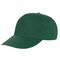 Houston 5-Panel Cap
