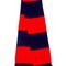 Team Scarf
