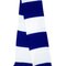 Team Scarf