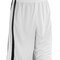 Basketball Men`s Quick Dry Short