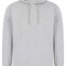 SFM531 SF Men Unisex Sustainable Fashion Hoody